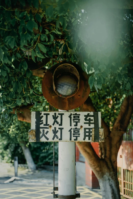 a traffic signal near some trees and people