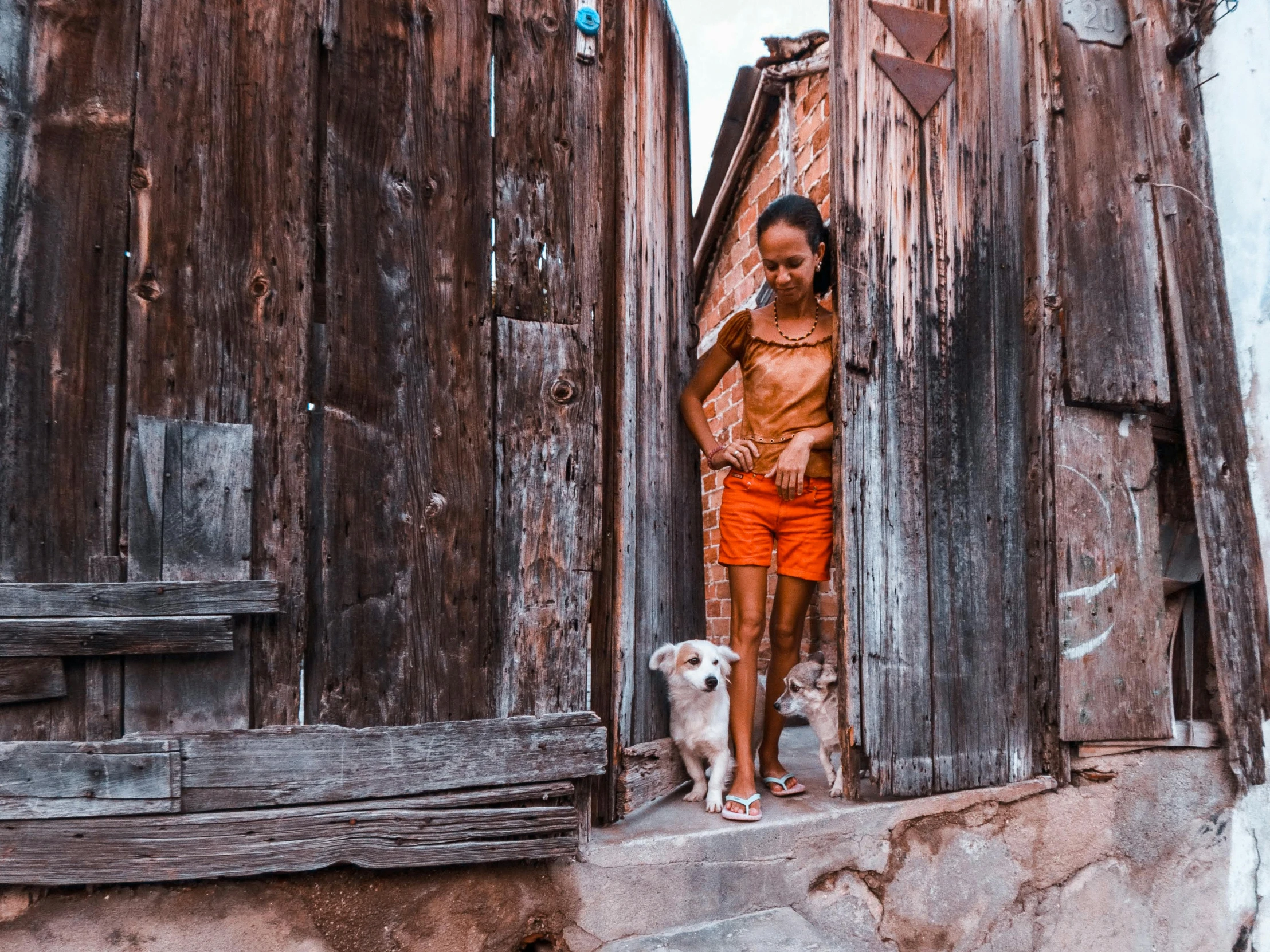 a girl stands in a doorway next to two dogs