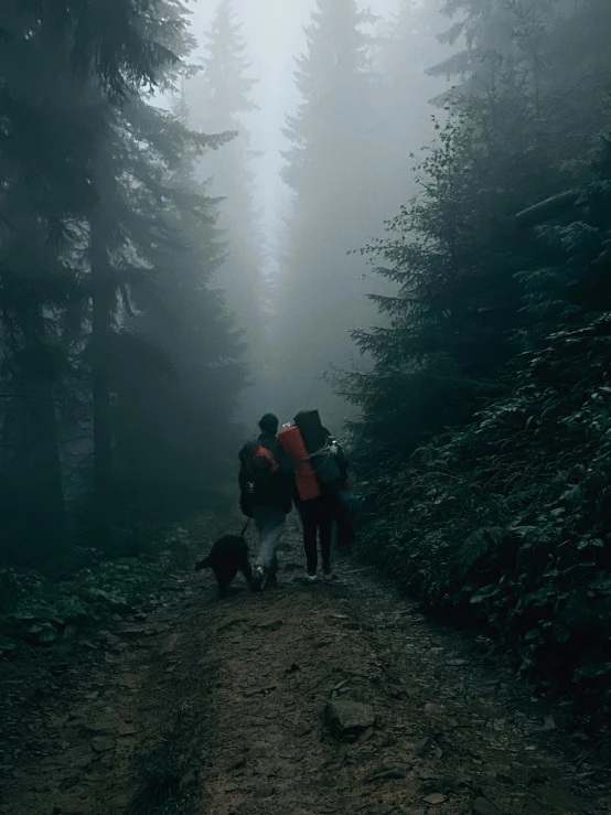 two people and a dog are walking in the fog in the woods