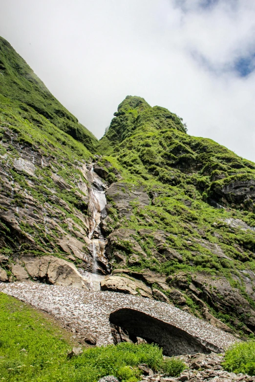 a hill is covered with very green plants