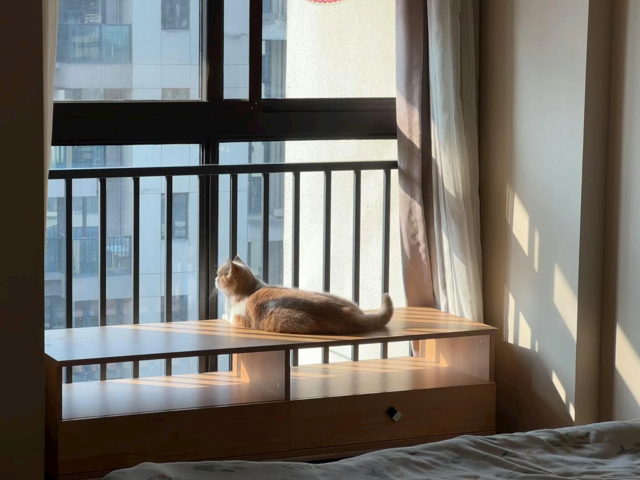 a cat is sitting on a window sill