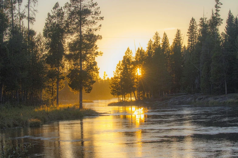 a body of water with trees on the edge