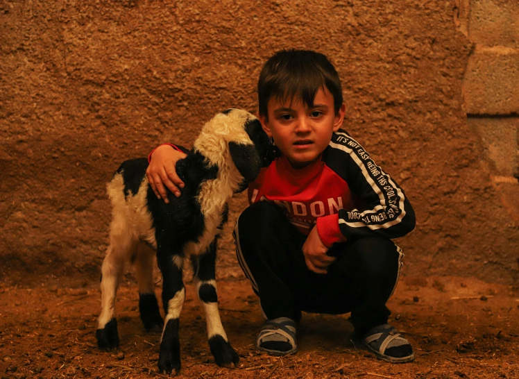 a boy kneeling down in front of a baby calf