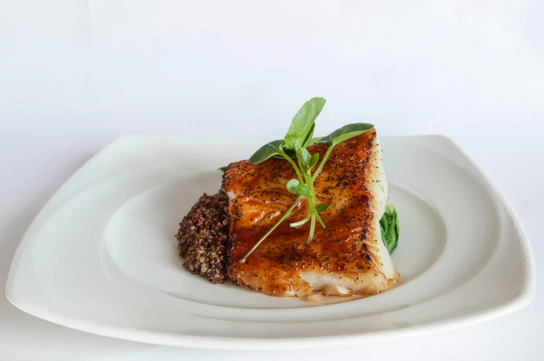 a piece of food sitting on top of a white plate