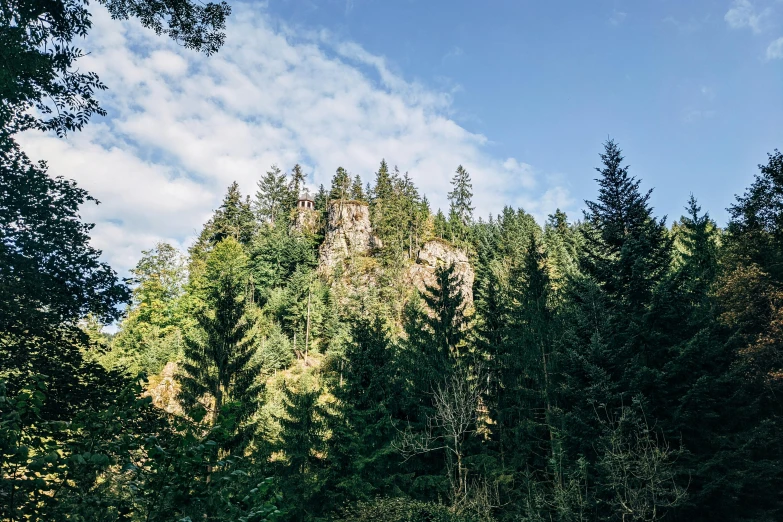 the view of a mountain with trees and blue sky