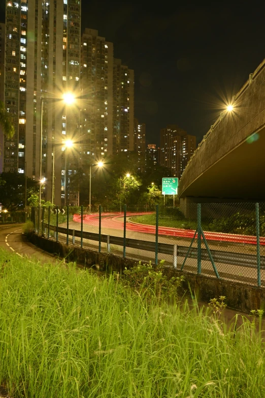 a lush green park next to a tall building