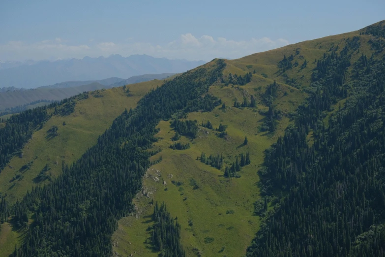 the mountain side has several trees on it