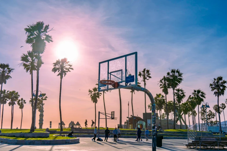 a basketball court with palm trees and people on it