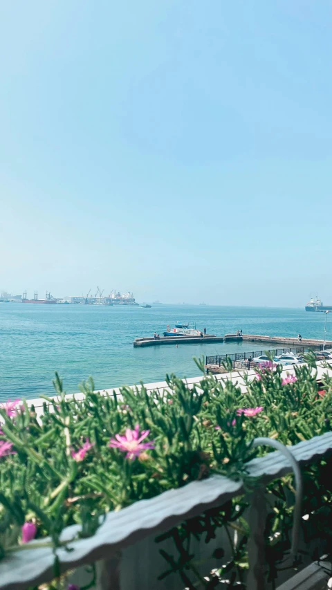 a beautiful scene with flowers and boats by the water