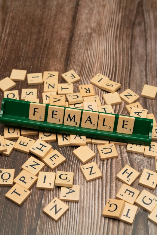 scrabble letters spelling the word feminine, including letter g