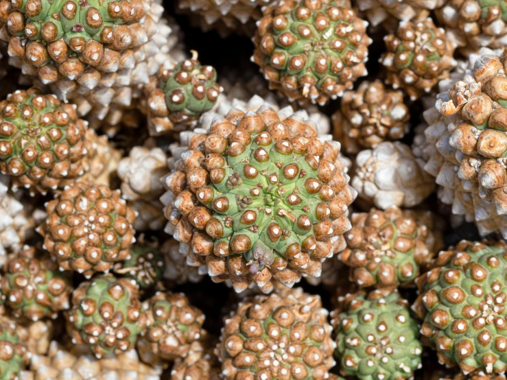 the green and white spheres are in close up