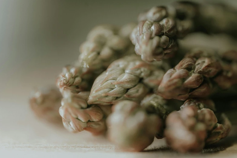 bunches of buds sprouting from a table