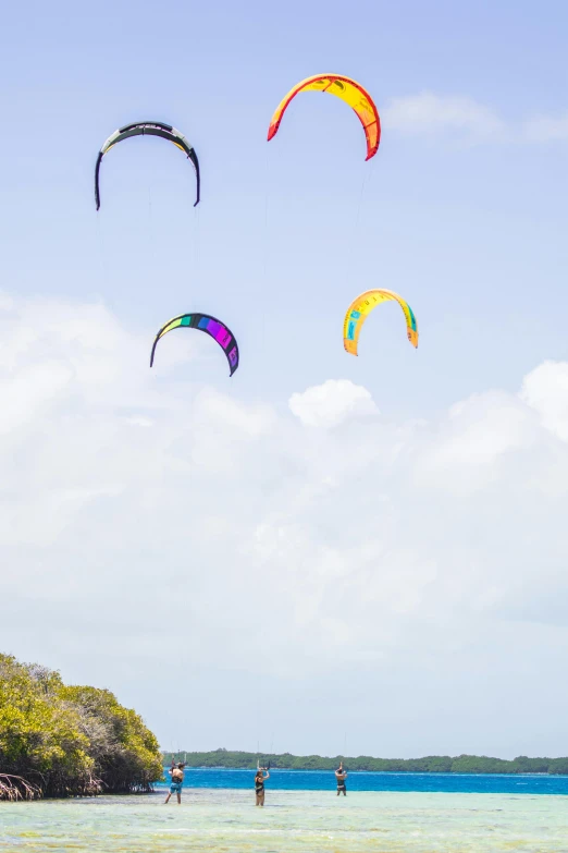 people flying kites on the beach and enjoying the water