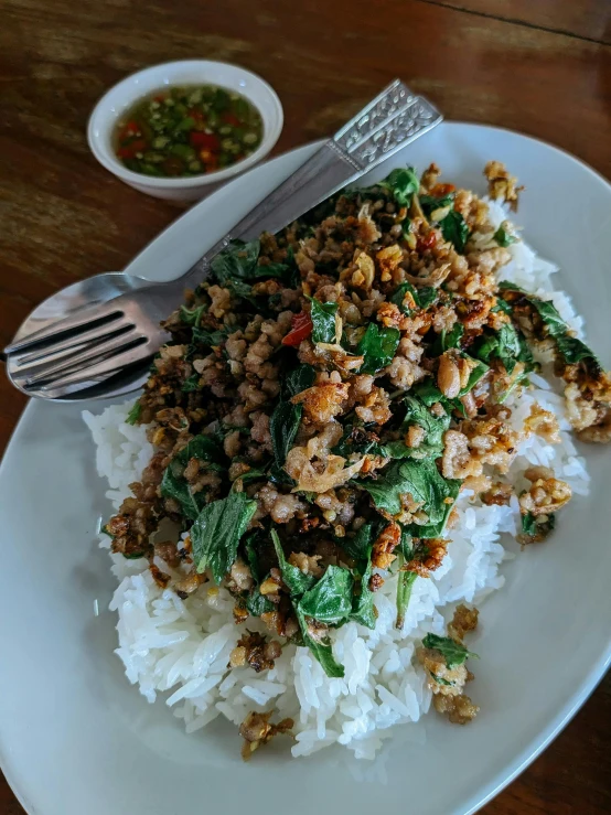 a white plate with rice and spinach