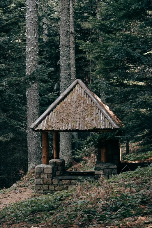 a house is in the middle of a wooded area