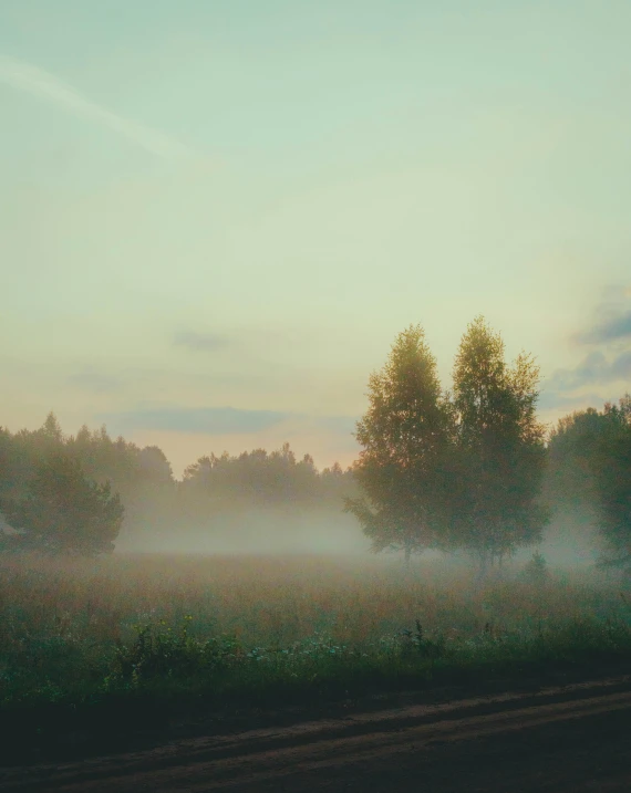 a train traveling along tracks in the sunset