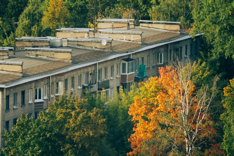 a few building with trees surrounding and several are trees in front