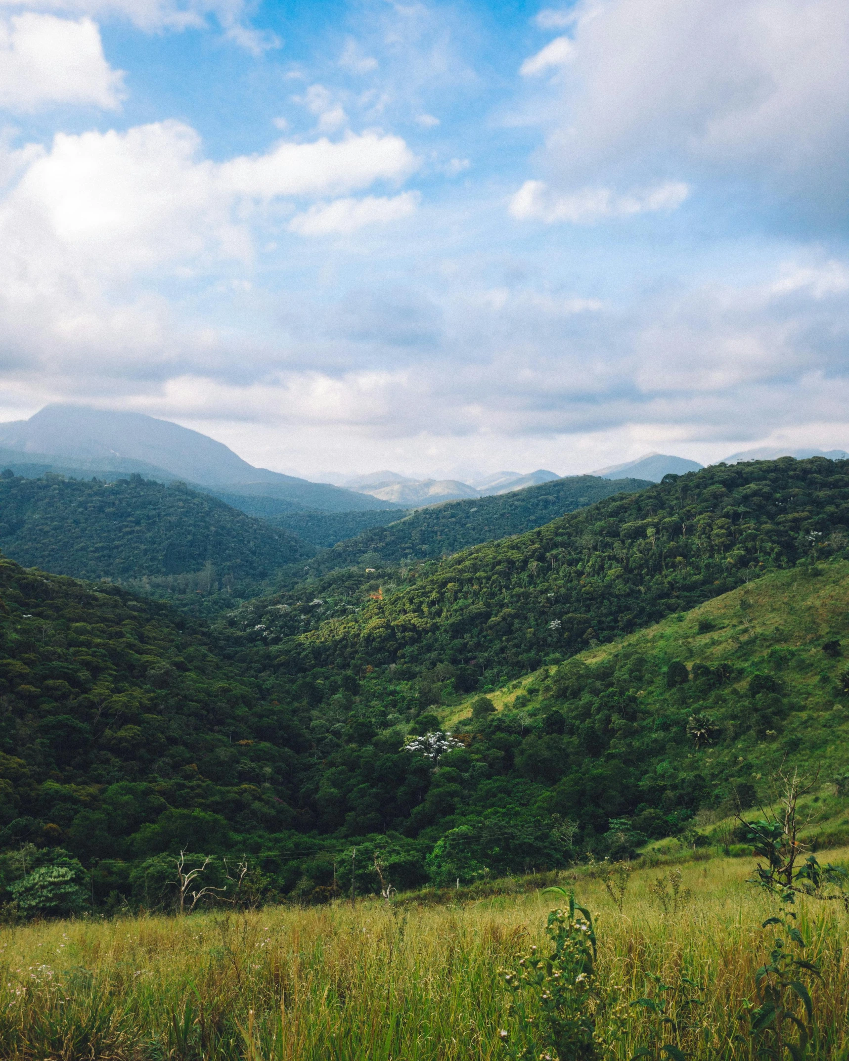 a po taken of some mountains and trees