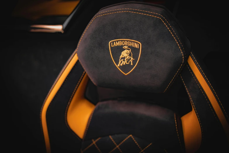 a lamb car seat with the emblem on it