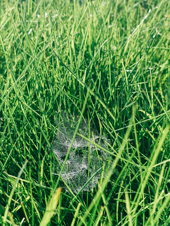 a field that has some water on it