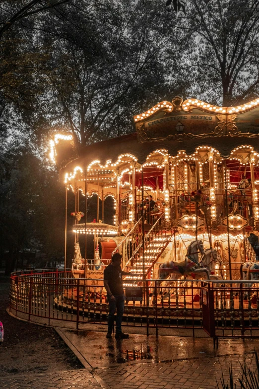 a merry go round in the park at night