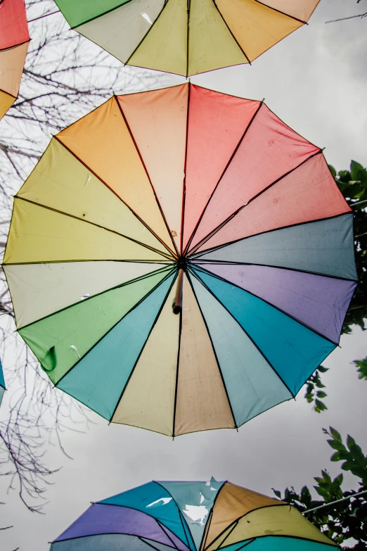 the colorful umbrellas are hanging from the tree