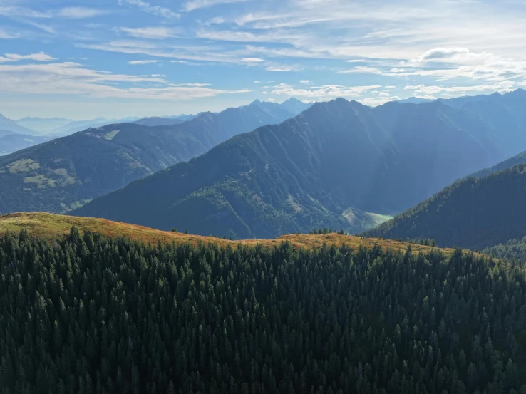 an expansive view of a forested valley in the distance