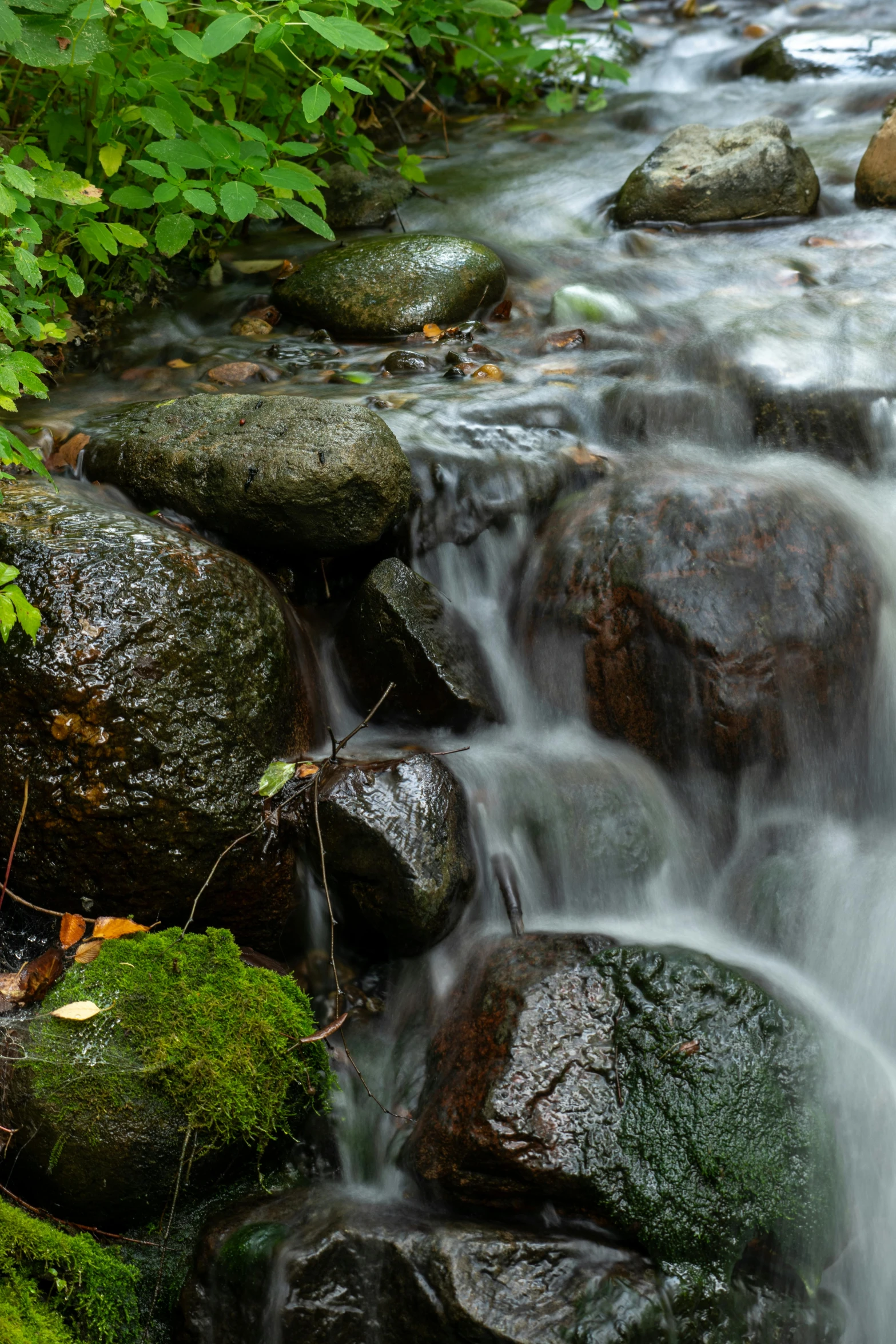 close up of water flowing over rocks and boulders