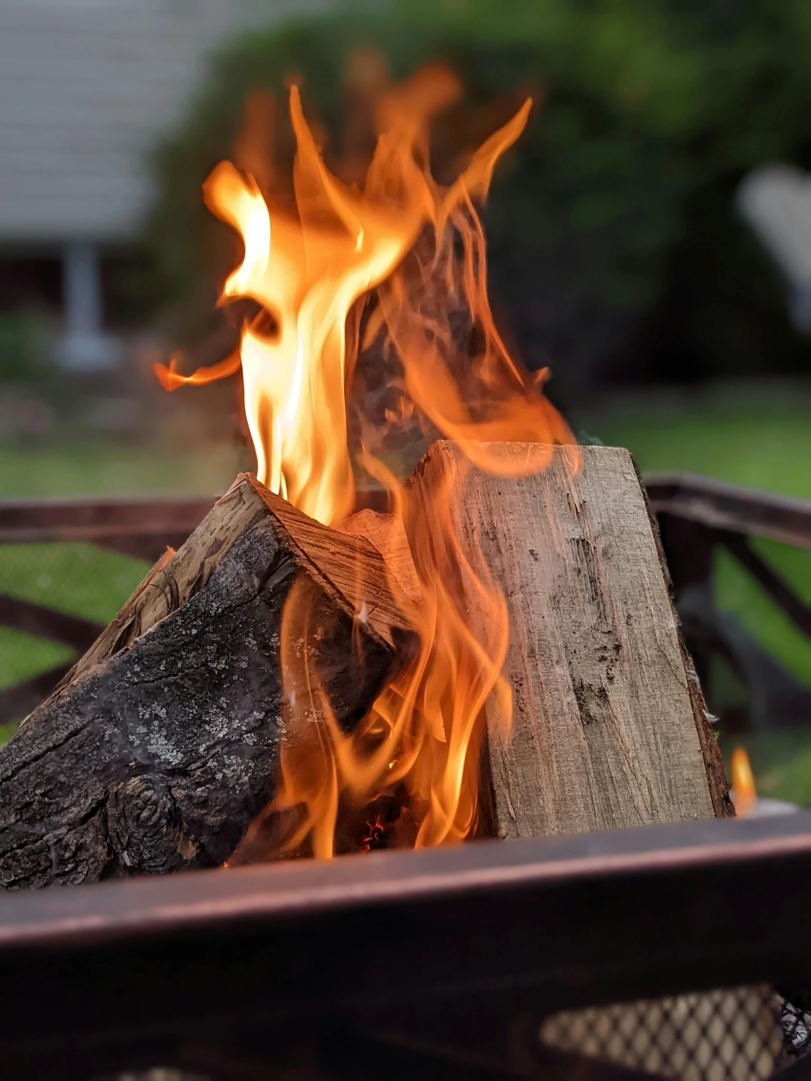 flames and logs burning in a fire pit