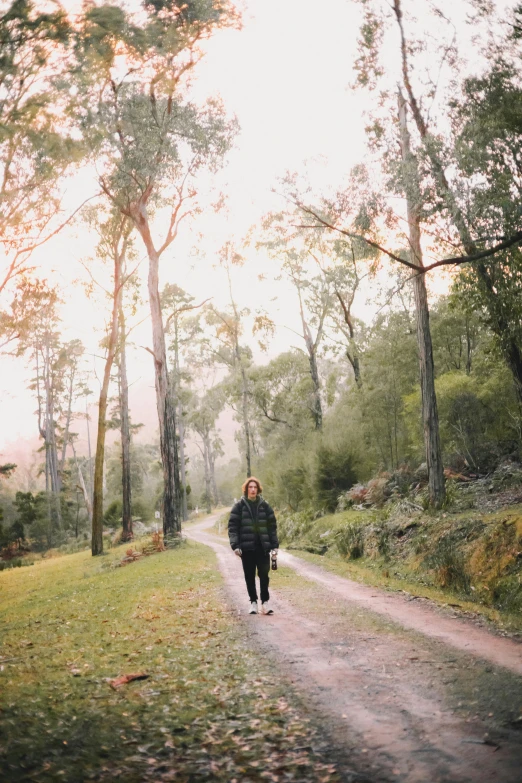 a woman walking down the middle of a forest