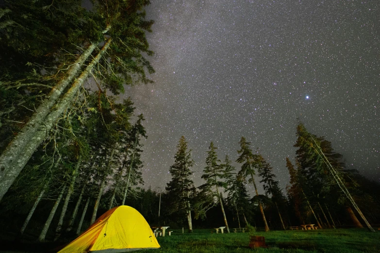 there is a yellow tent in a forest