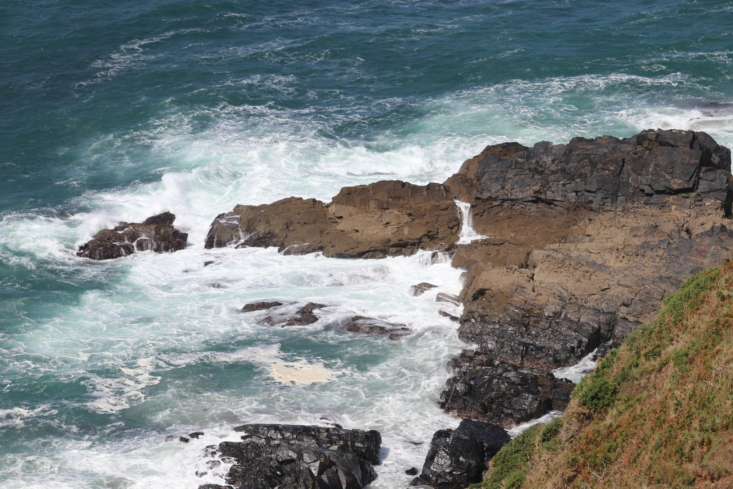 a red bird perched on the edge of a cliff over water