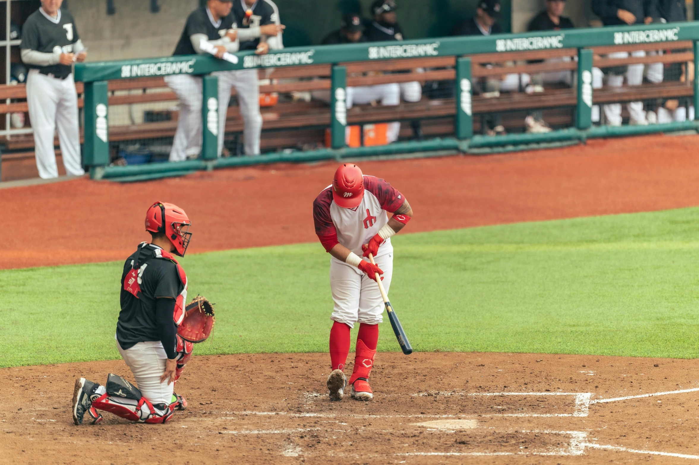 a baseball player holding a bat on the field