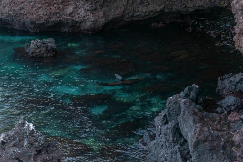 a view of a body of water from high up