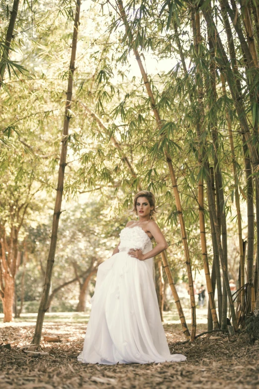 a woman in a gown stands near a lot of bamboo trees