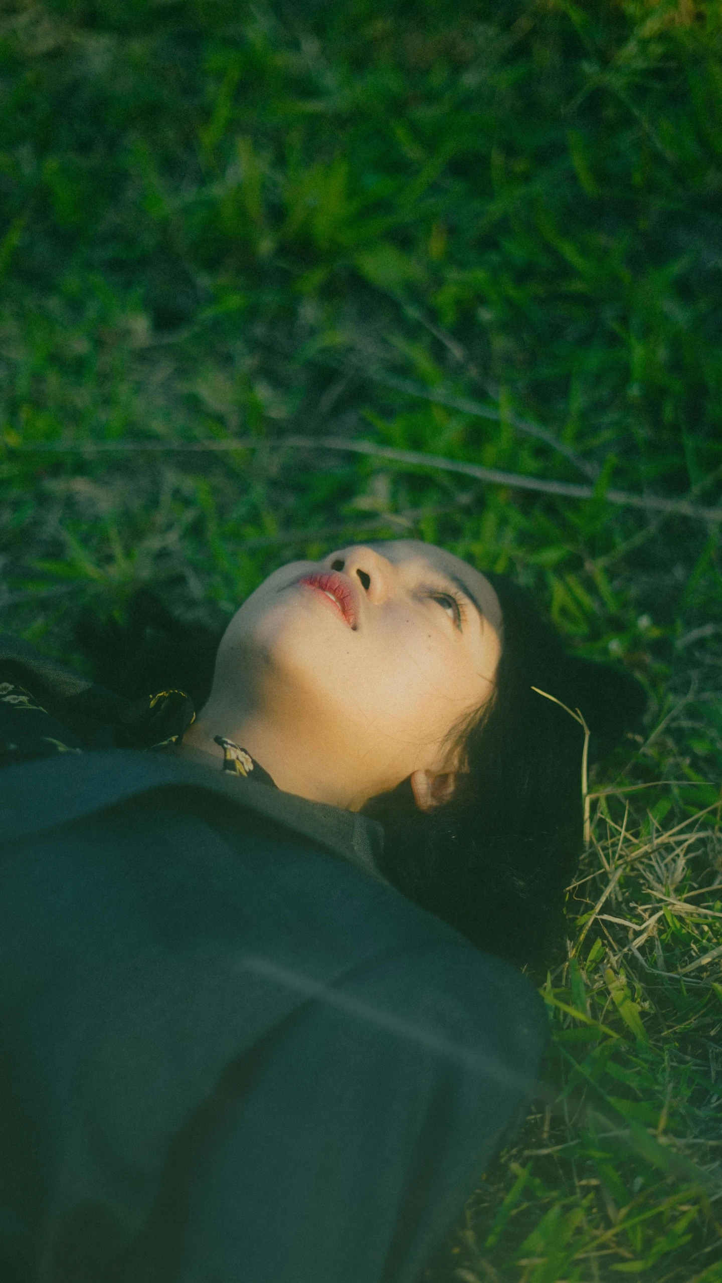 an image of a woman laying down in the grass