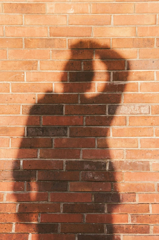 a shadow of someone standing in front of a brick wall