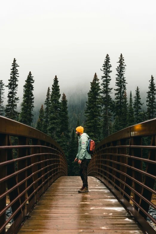 a person standing on a bridge with a backpack in their hand