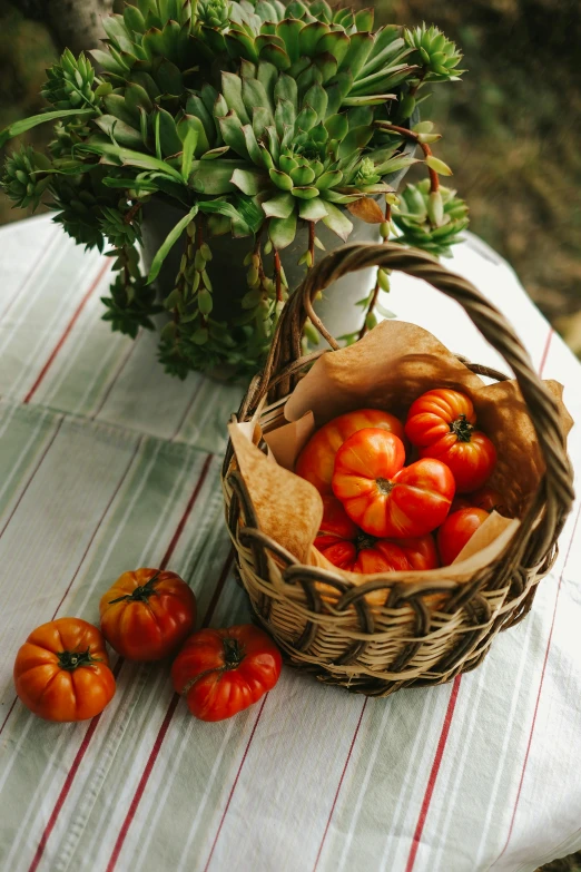 a close up of a basket of tomatoes