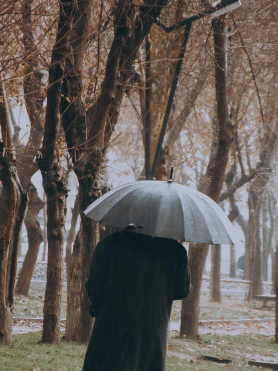 a person holding a white umbrella near trees