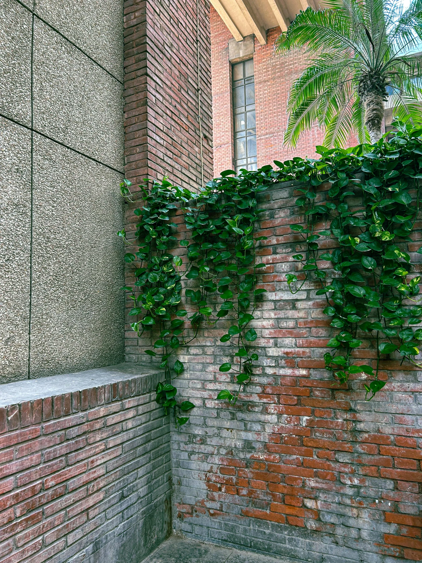 there is a building that has a bunch of plants growing on the wall