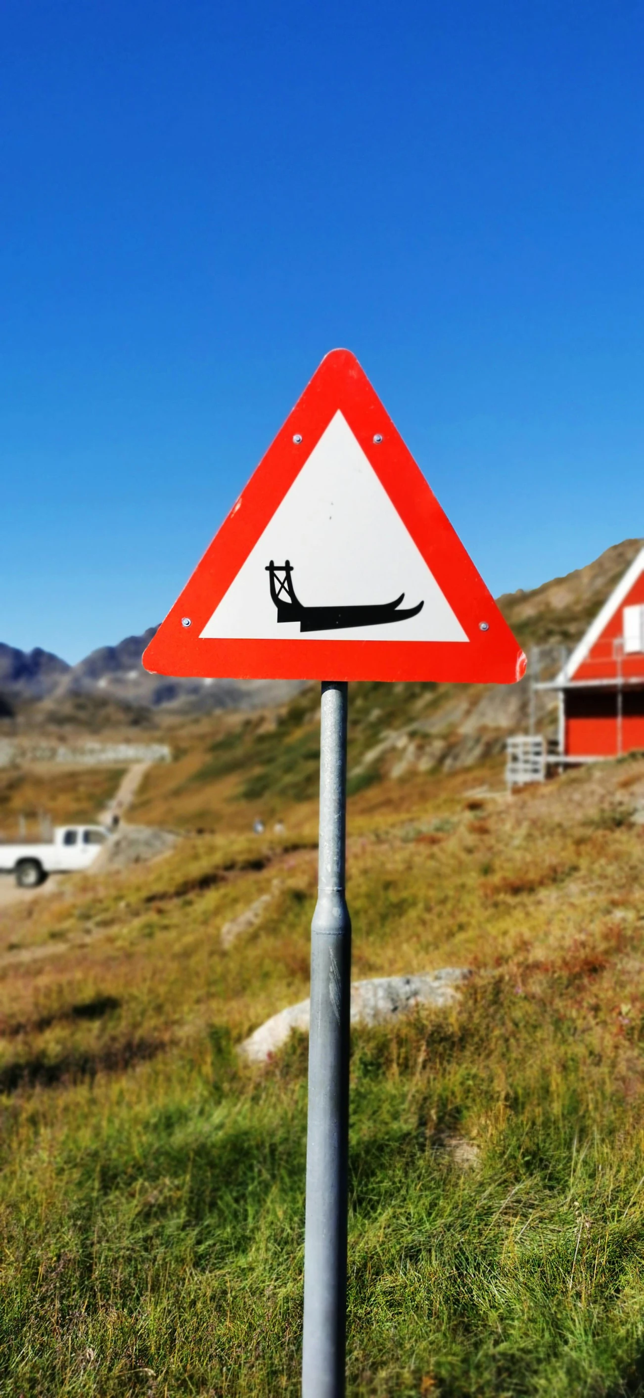 a cat is sitting on a street sign by a field