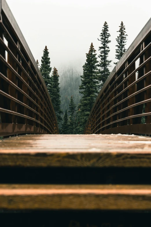 a very long wooden bridge with trees in the background