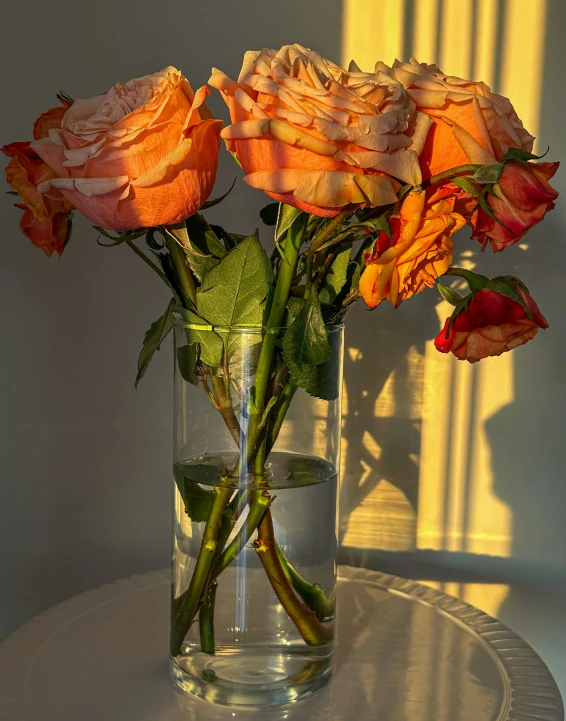 some pretty orange roses sitting in a vase