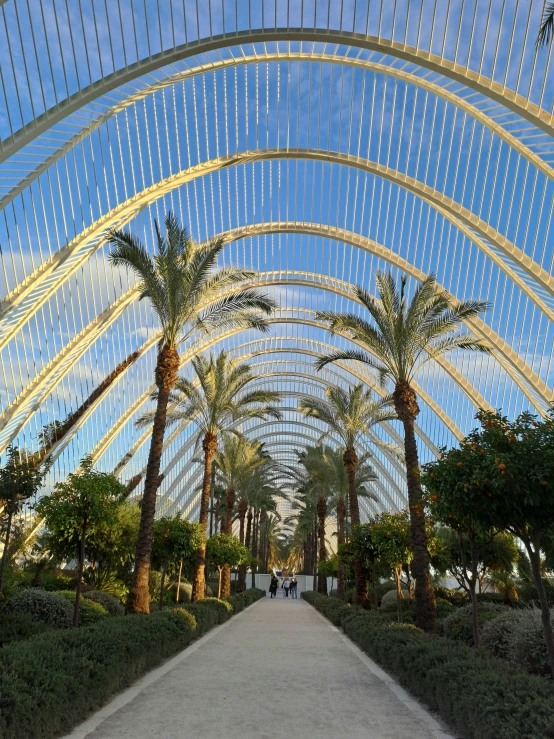 the inside of a building with arches and palm trees