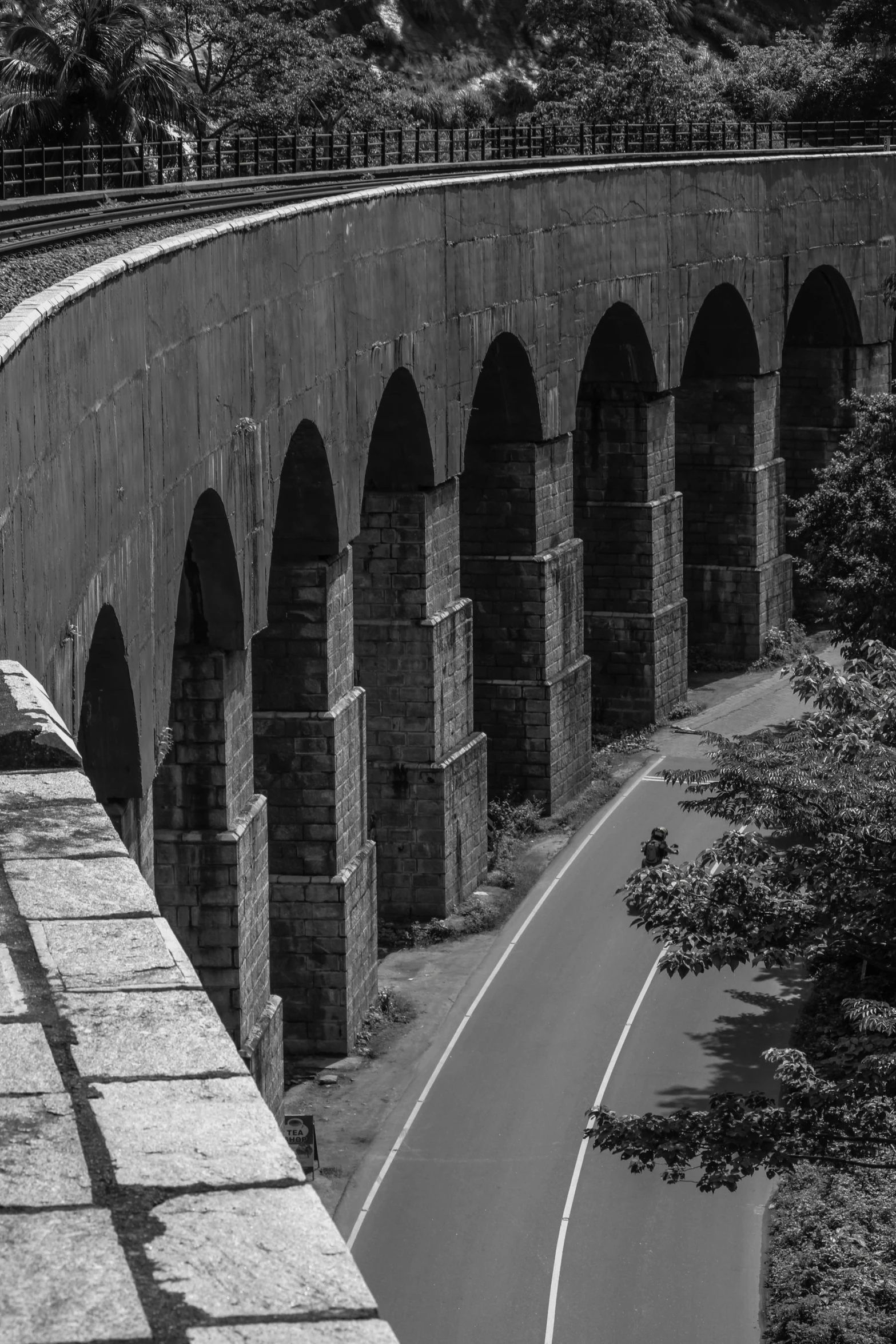 a long train crossing an overpass into the forest