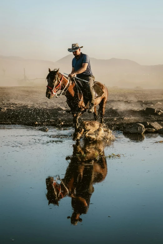 a man riding on the back of a brown horse