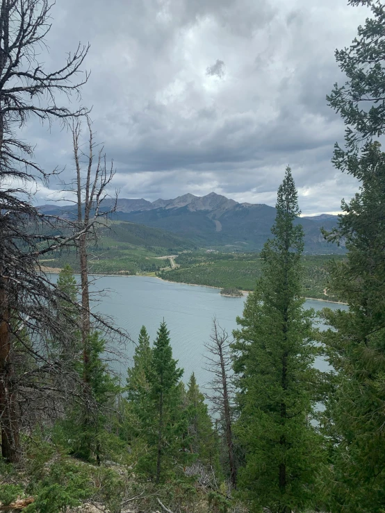 a lake and trees are visible in this image