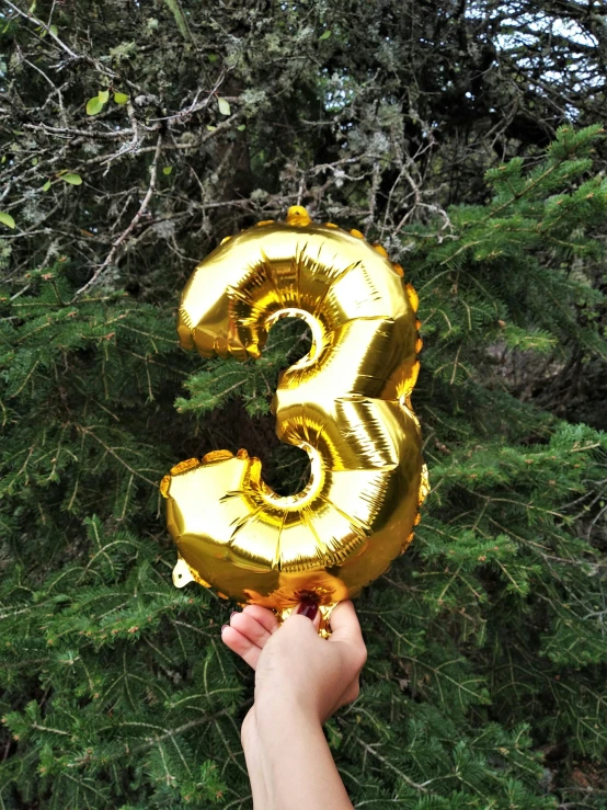 the number 3 foil balloon is held up in front of a bush