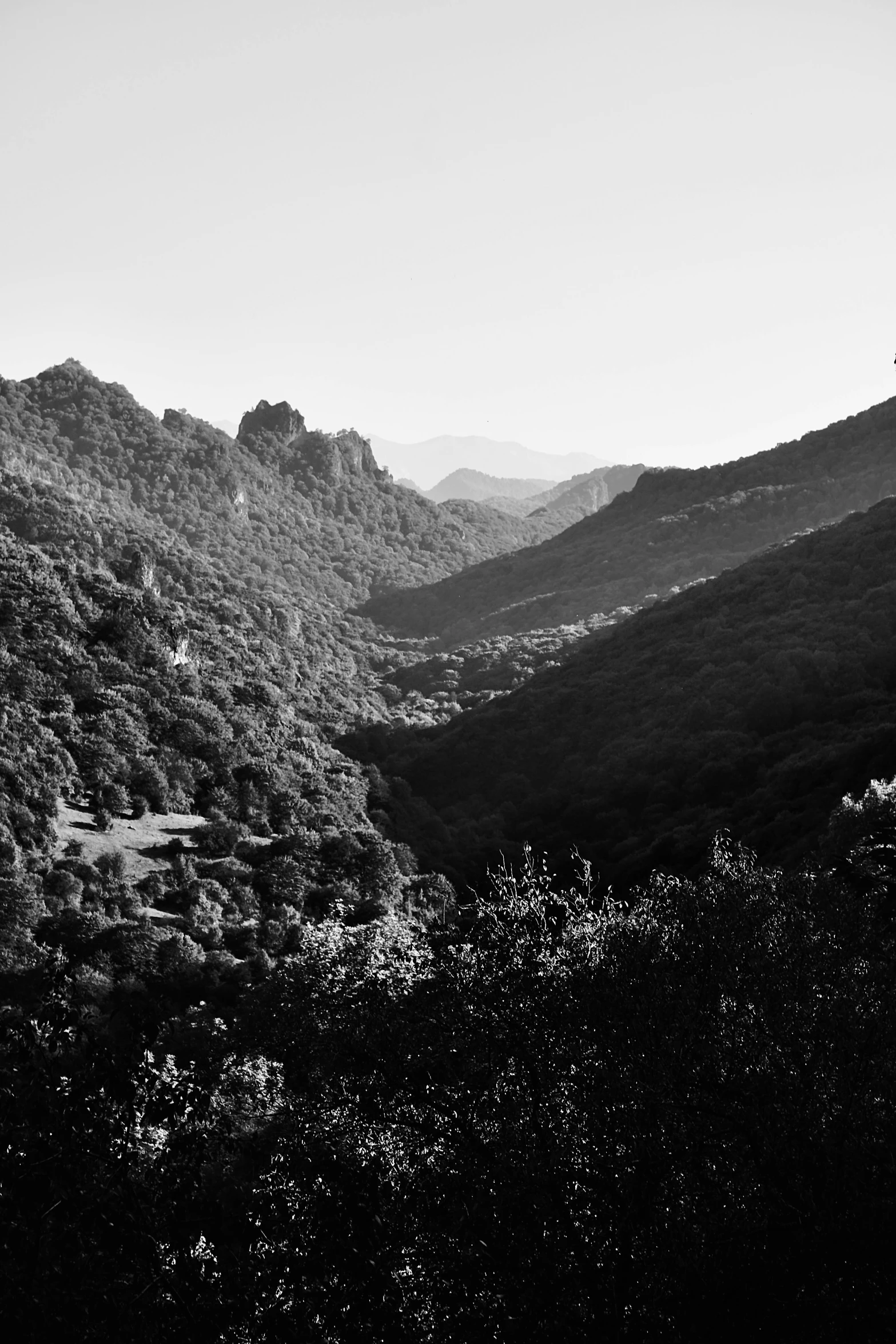 a black and white po of mountains with sun coming down